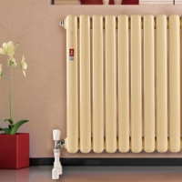 影響鋼制暖氣片價(jià)格的因素